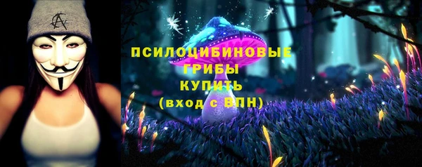 ешки Белоозёрский